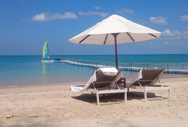 2016-01-24 12.13.38.jpg