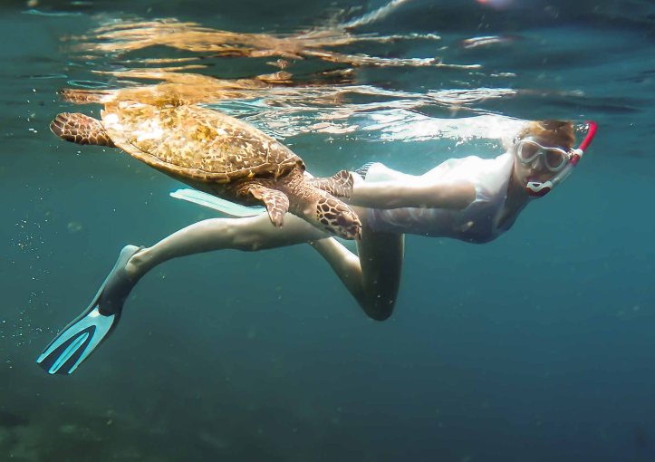 Rachael and Turtle, Maldives